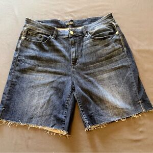 Judy Blue Dark Wash Jean Shorts